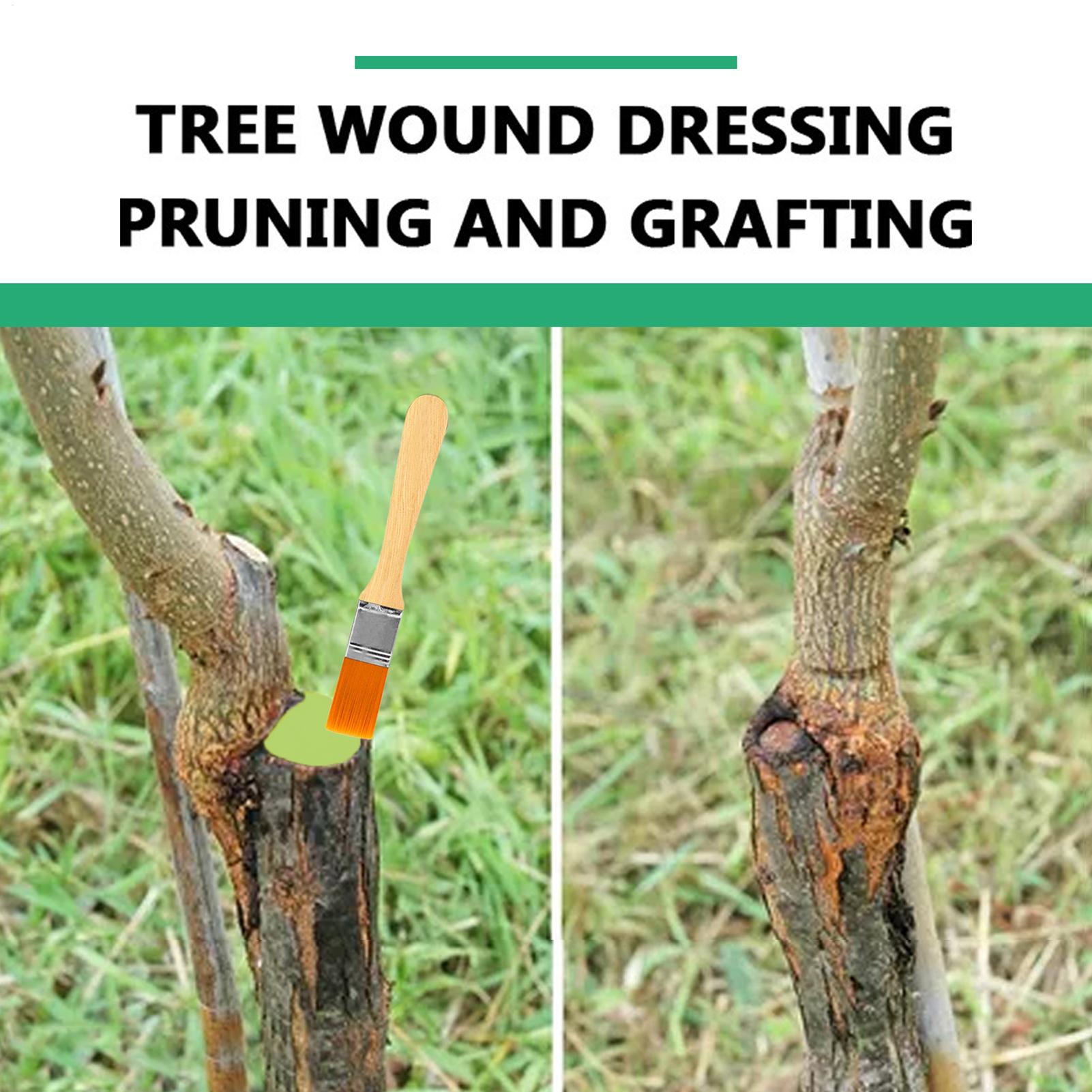 Pruning Sealer 100g Protective - đánh giá và giá Plant Parenting