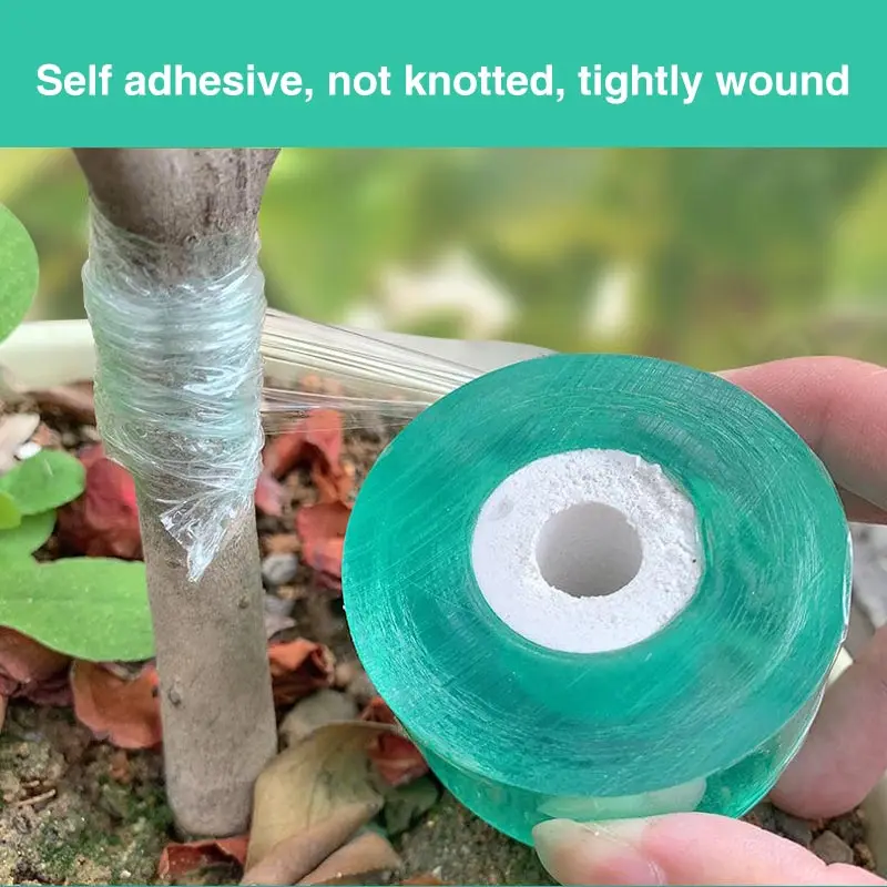 Plant Grafting Specific Film E - đánh giá và giá Plant Parenting