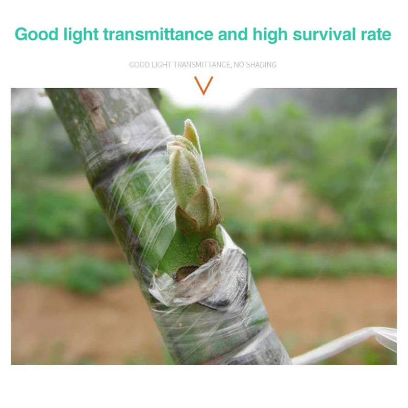 Plant Grafting Specific Film E - đánh giá và giá Plant Parenting