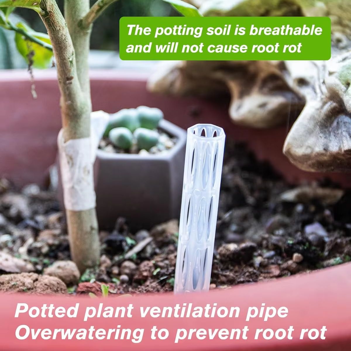 10/20Pcs Drainage Pipes To Pre - đánh giá và giá Plant Parenting